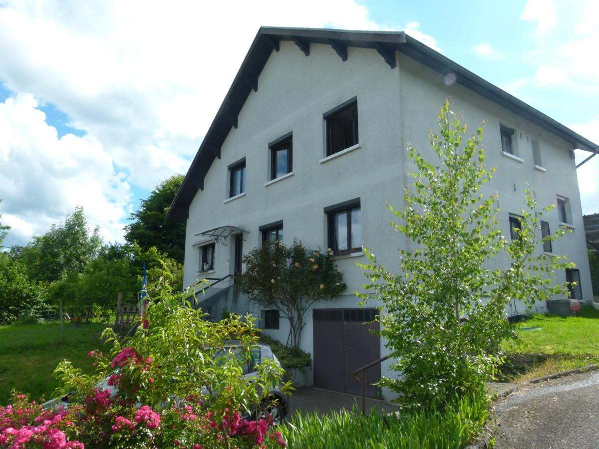 Villa Detente Dauphinoise Saint-Andre-le-Gaz Exterior foto